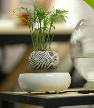 Plante Levitation Feng Shui Déco Science