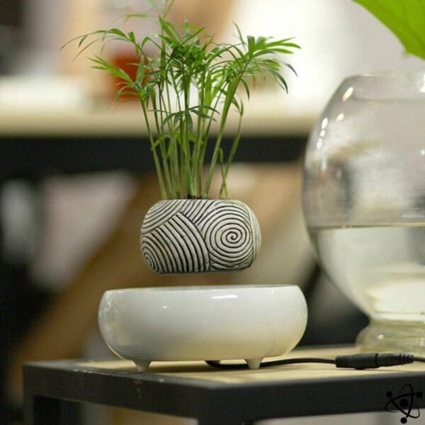 Plante Levitation Feng Shui Déco Science