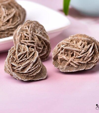 Rose des Sables Déco Science