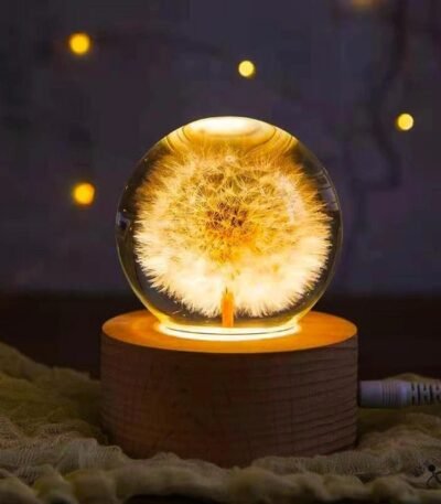 Boule de Cristal Pissenlit Déco Science