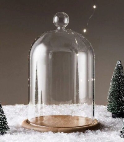Cloche en Verre d'Exposition Déco Science