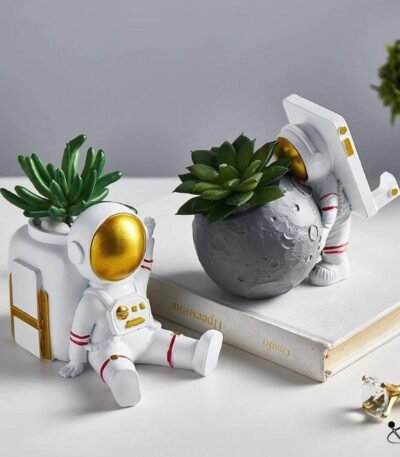 Pot de Plantes Grasses et Support de Téléphone Astronautes Déco Science